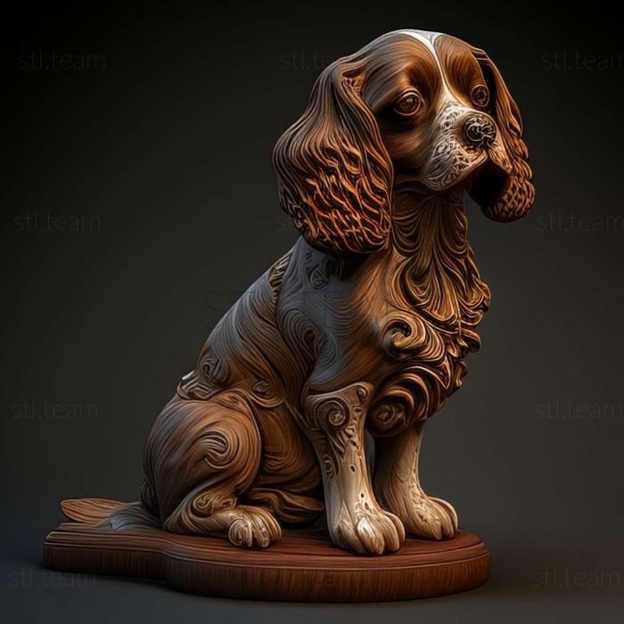 Animals French Spaniel dog